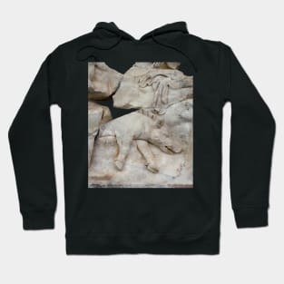 Calydonian Boar Greek Mythological Relief Cut Out Hoodie